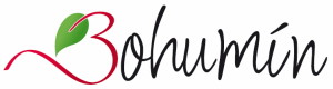 bohumín logo